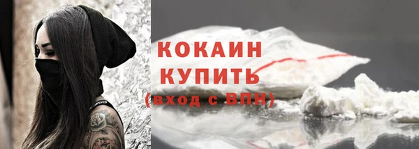 Альфа ПВП Пересвет