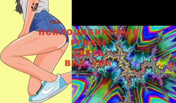 кристаллы Осинники