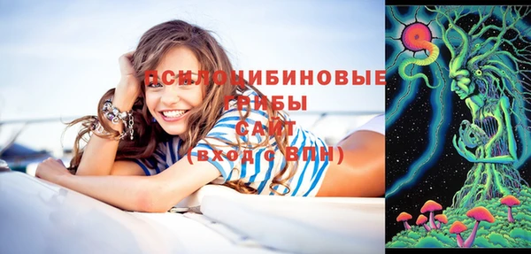 кристаллы Осинники