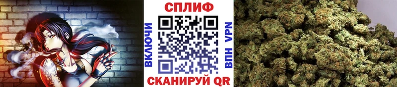 Бошки Шишки тримм  Купить закладки  Уссурийск 